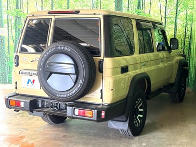 2025 Toyota LAND CRUISER 70 照片 17