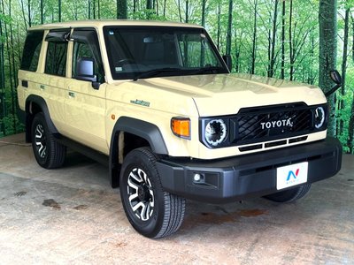 2025 Toyota LAND CRUISER 70 照片 16
