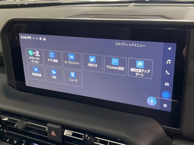 2024 Toyota LAND CRUISER 250 照片 24