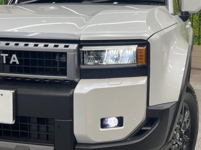 2024 Toyota LAND CRUISER 250 照片 13