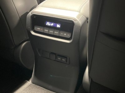 2024 Toyota LAND CRUISER 250 照片 39