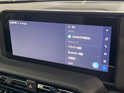 2024 Toyota LAND CRUISER 250 照片 25