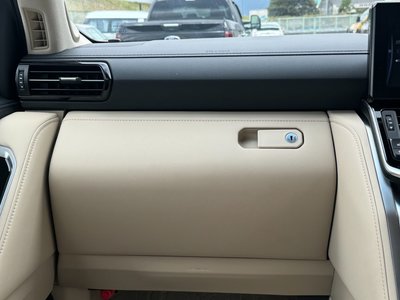 2024 Toyota LAND CRUISER 300 thumbnail 19
