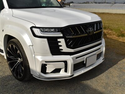 2023 Toyota LAND CRUISER 300 照片 7