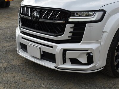 2023 Toyota LAND CRUISER 300 照片 19
