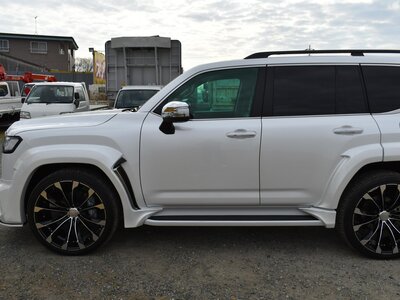 2023 Toyota LAND CRUISER 300 照片 25
