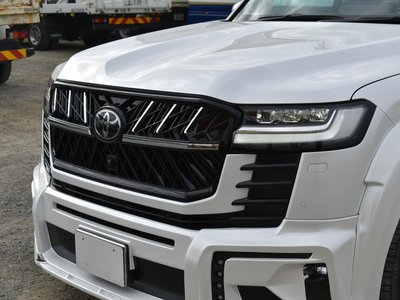 2023 Toyota LAND CRUISER 300 照片 18