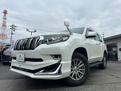 2021 Toyota LAND CRUISER PRADO — фото 6