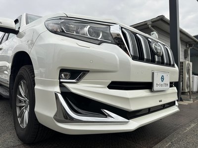 2021 Toyota LAND CRUISER PRADO — фото 77