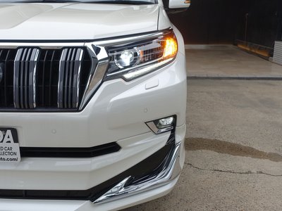 2023 Toyota LAND CRUISER PRADO 照片 23