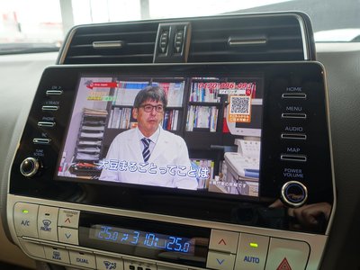 2023 Toyota LAND CRUISER PRADO 照片 47