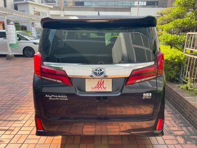 2021 Toyota ALPHARD 照片 10
