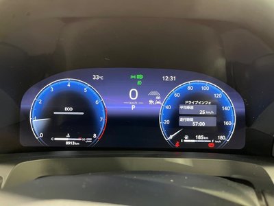 2024 Toyota ALPHARD 照片 34