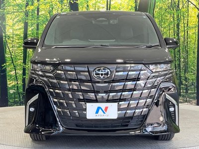 2024 Toyota ALPHARD 照片 15