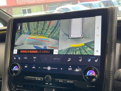 2024 Toyota ALPHARD 照片 5