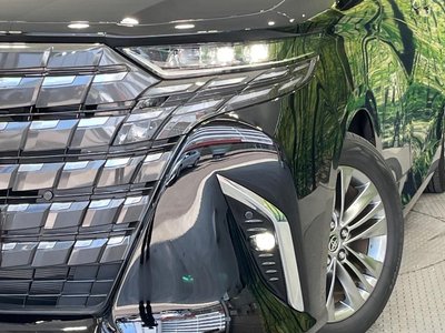 2024 Toyota ALPHARD 照片 13
