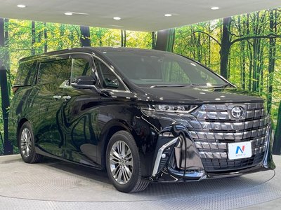 2024 Toyota ALPHARD 照片 17