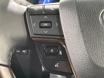 2024 Toyota ALPHARD 照片 30
