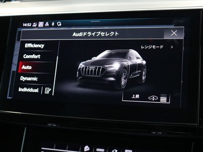 2024 AUDI Q8 SPORTBACK E-TRON photo 15