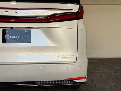 2024 Lexus LM — фото 27