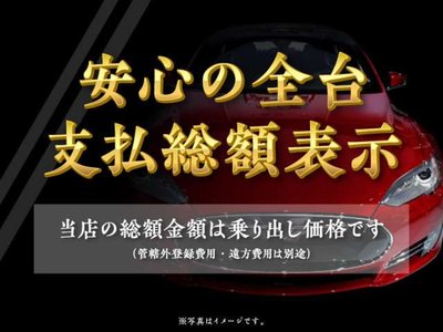 2024 Toyota LAND CRUISER 250 photo 44