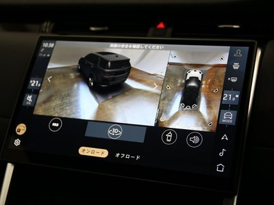 2025 LAND Rover DISCOVERY SPORT thumbnail 42