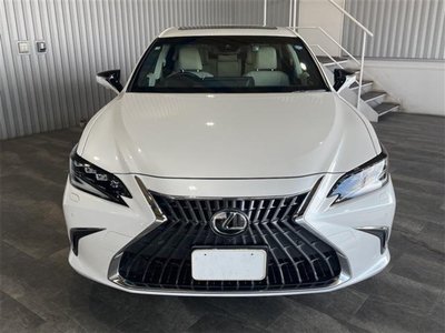 2023 Lexus ES thumbnail 24