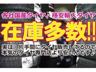 2025 Toyota LAND CRUISER 250 photo 129