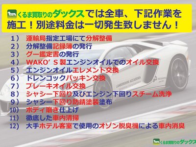 2025 Toyota LAND CRUISER 250 photo 11