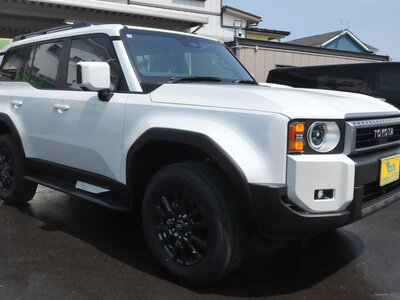 2025 Toyota LAND CRUISER 250 photo 30