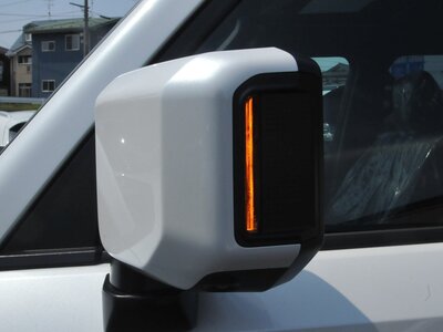 2025 Toyota LAND CRUISER 250 photo 43