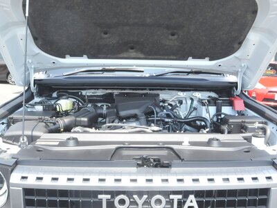2025 Toyota LAND CRUISER 250 photo 121