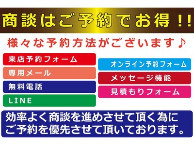 2025 Toyota LAND CRUISER 250 photo 131