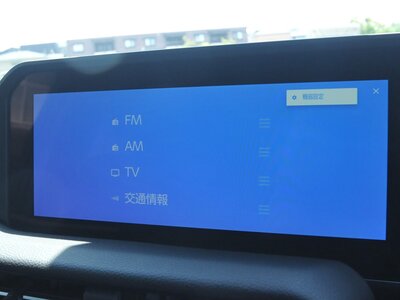 2025 Toyota LAND CRUISER 250 photo 136