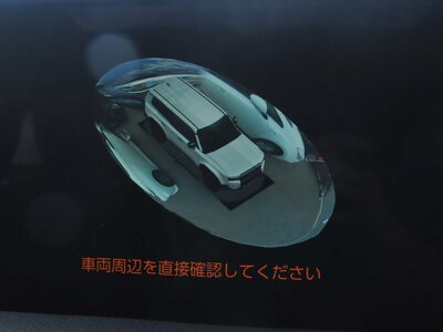 2025 Toyota LAND CRUISER 250 photo 142
