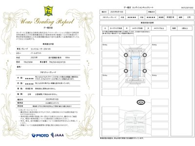 2025 Toyota LAND CRUISER 250 photo 4