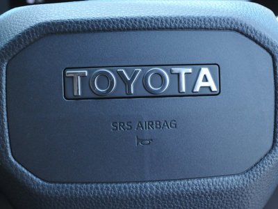 2025 Toyota LAND CRUISER 250 photo 65