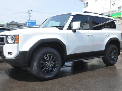 2025 Toyota LAND CRUISER 250 photo 1