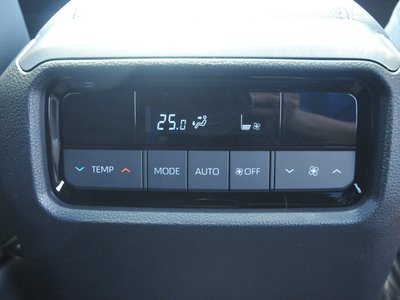 2025 Toyota LAND CRUISER 250 photo 137