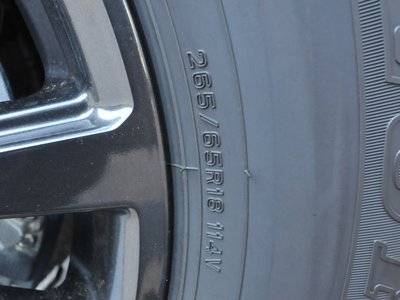 2025 Toyota LAND CRUISER 250 photo 50