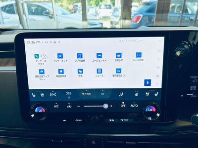 2024 Lexus LM 缩略图 53