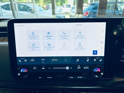 2024 Lexus LM 缩略图 52