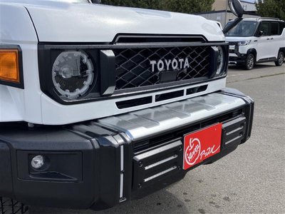 2025 Toyota LAND CRUISER 70 照片 4