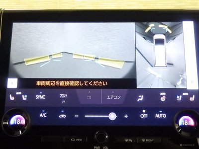 2025 Toyota ALPHARD 照片 21