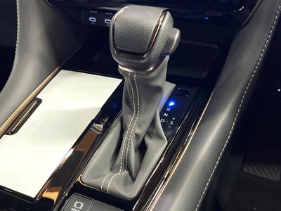 2026 Toyota ALPHARD 照片 50