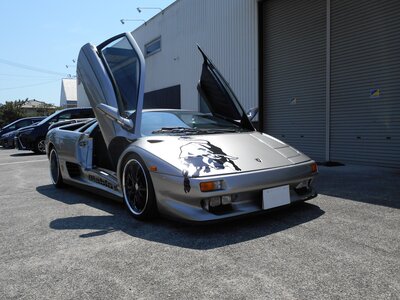 صورة 21 لـ 1995 Lamborghini DIABLO