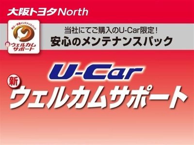 2024 Toyota ALPHARD 缩略图 71