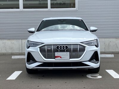 2023 AUDI E-TRON SPORTBACK 照片 15