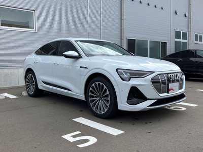 2023 AUDI E-TRON SPORTBACK 照片 6