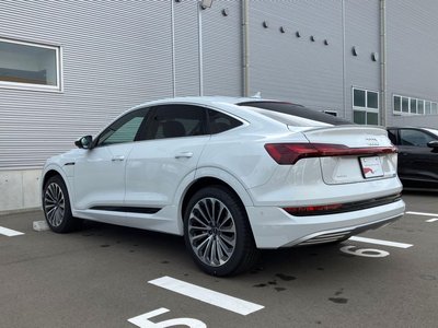 2023 AUDI E-TRON SPORTBACK 照片 9